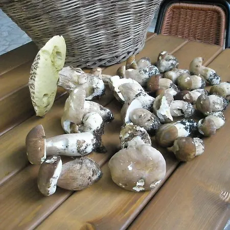 Ristorante Montecucco Da Tobia