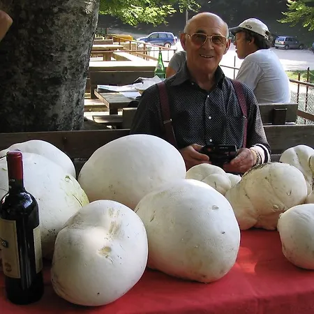 Ristorante Montecucco Da Tobia Sigillo