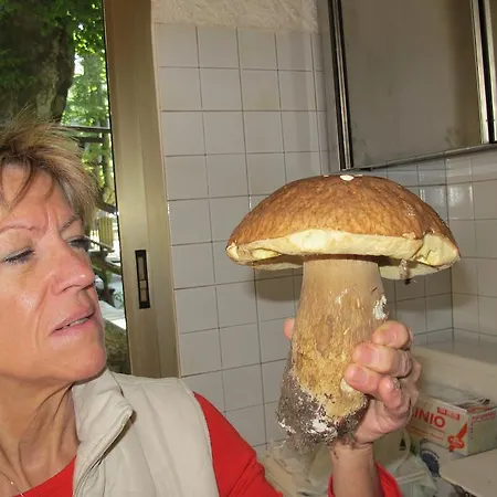 Otel Ristorante Montecucco Da Tobia 2*