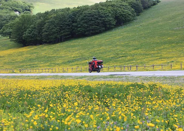 Ristorante Montecucco Da Tobia