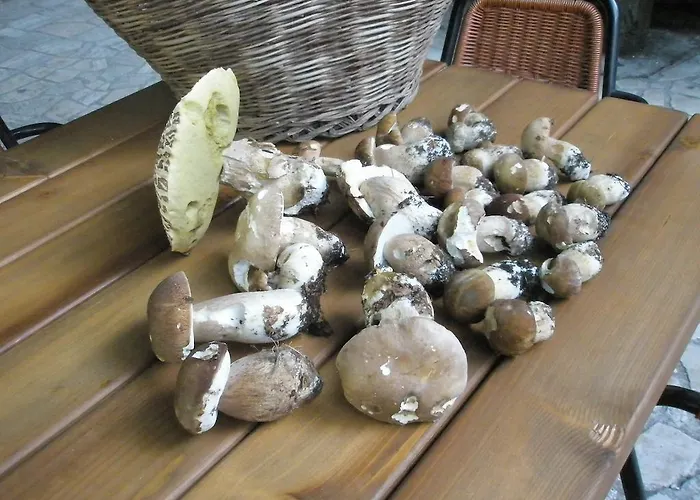 Ristorante Montecucco Da Tobia