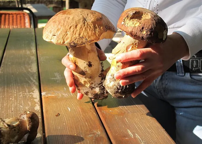 Hotel Ristorante Montecucco Da Tobia