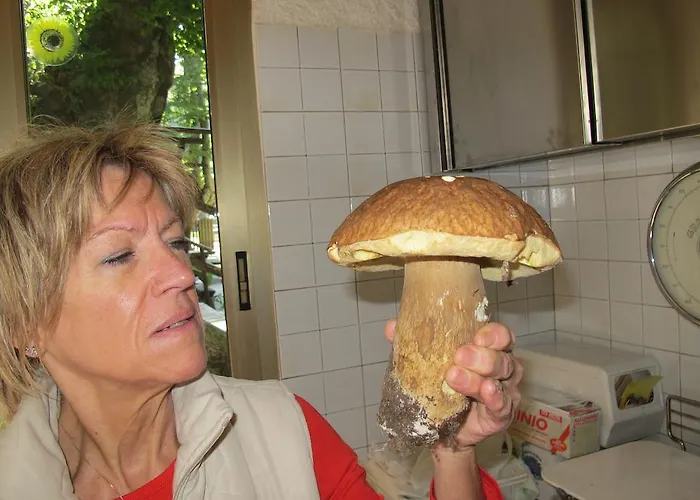 Hotel Ristorante Montecucco Da Tobia 2*